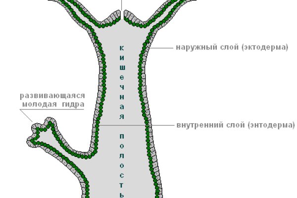 Актуальные ссылки даркнет